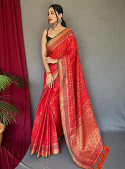 Red Patola Silk Saree with Patola Blouse